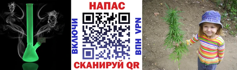 Конопля гибрид Реутов
